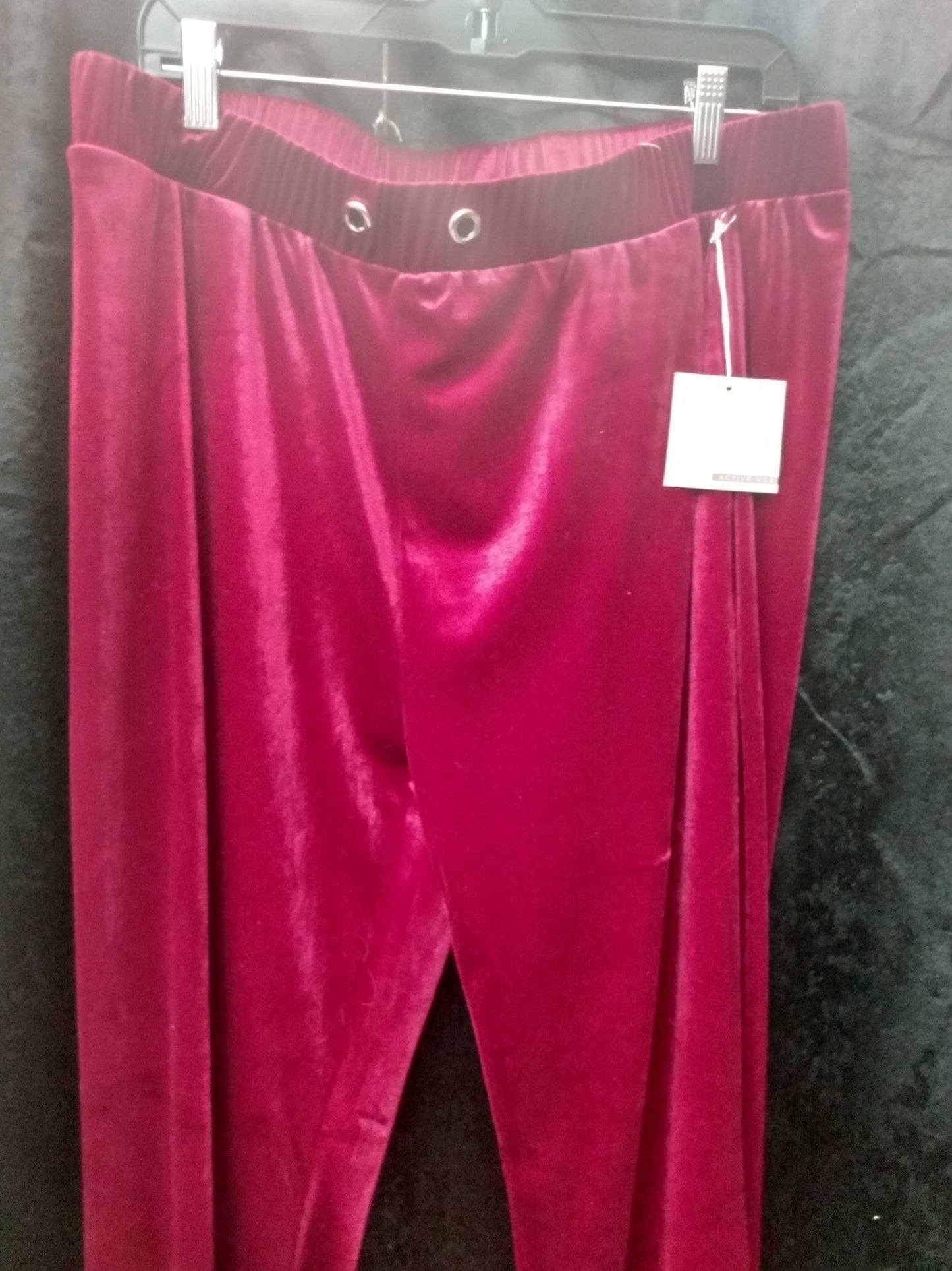 Women velvet jogger pants 1X